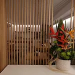 Apiro Mykonos Hotel 4*